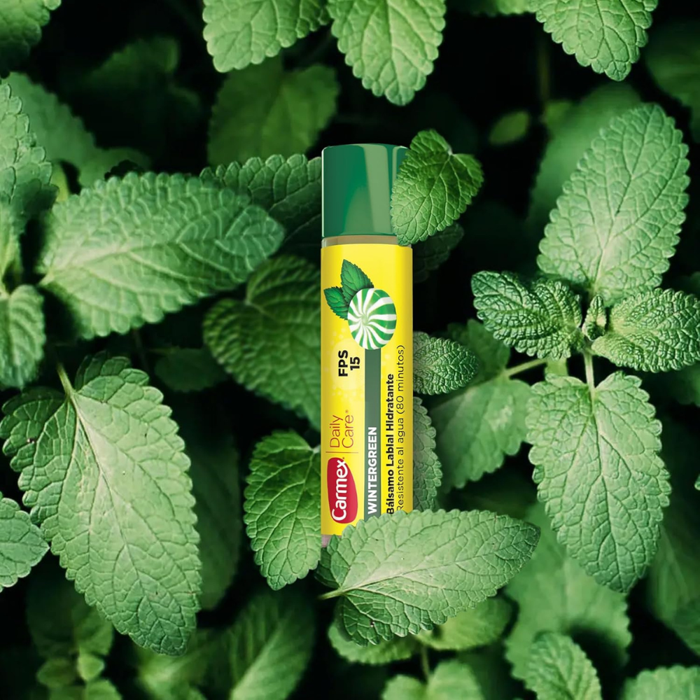 Carmex Wintergreen Barra - Bálsamo Labial