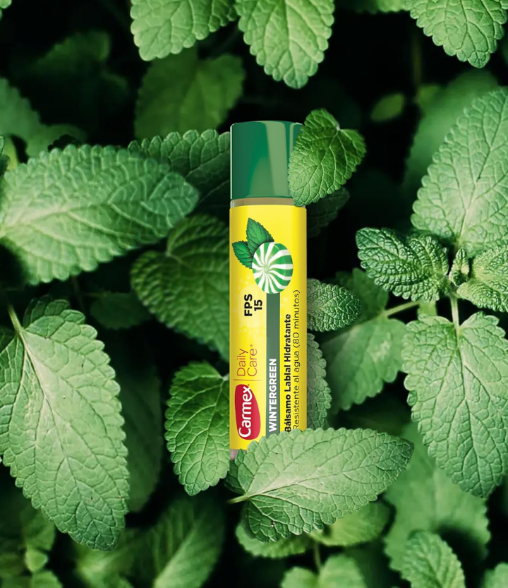 Carmex Wintergreen Barra - Bálsamo Labial